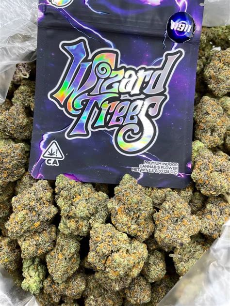 versace strain wizard trees